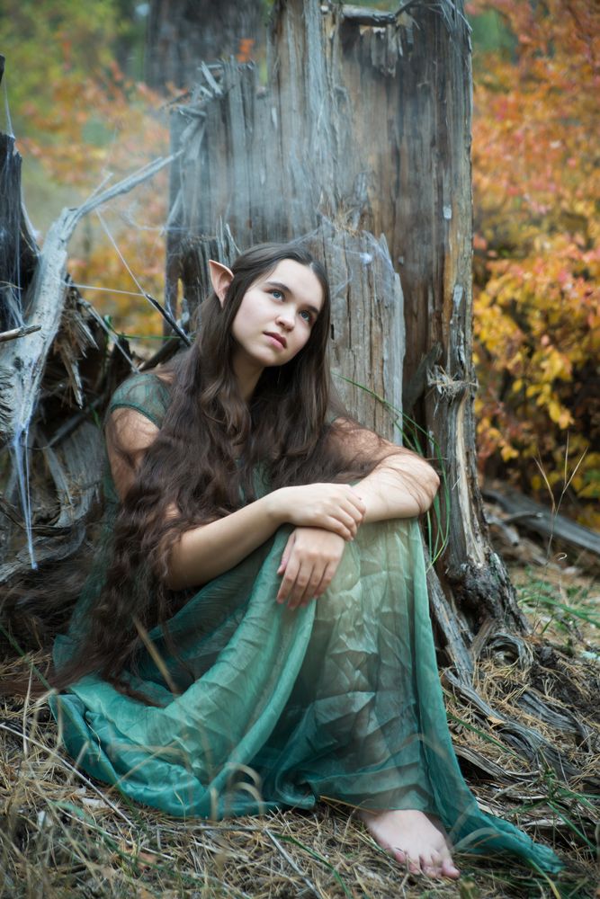 Photo #13384285 (6)