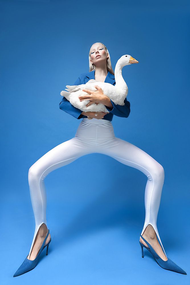Photo #13385576 (4)