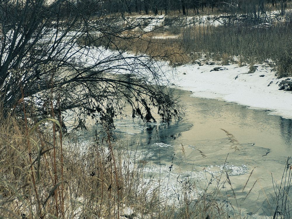У реки (3)