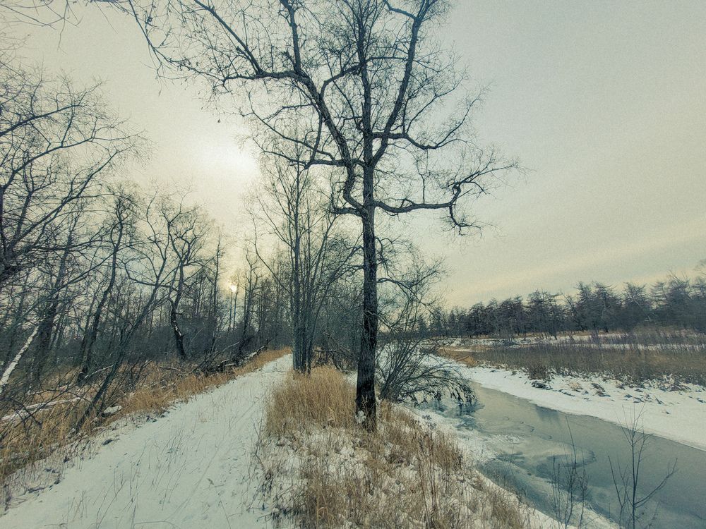 У реки (4)