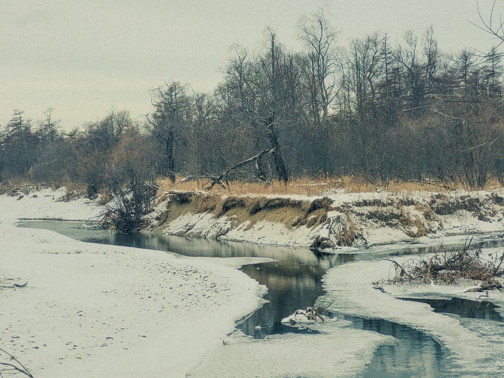 У реки (5)