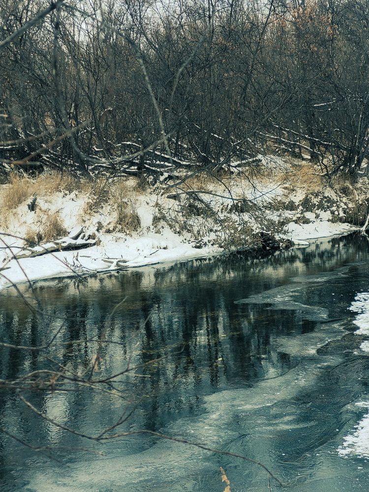 У реки (7)