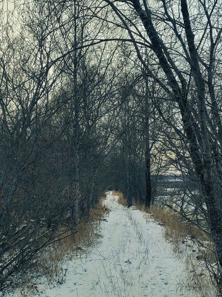У реки (8)