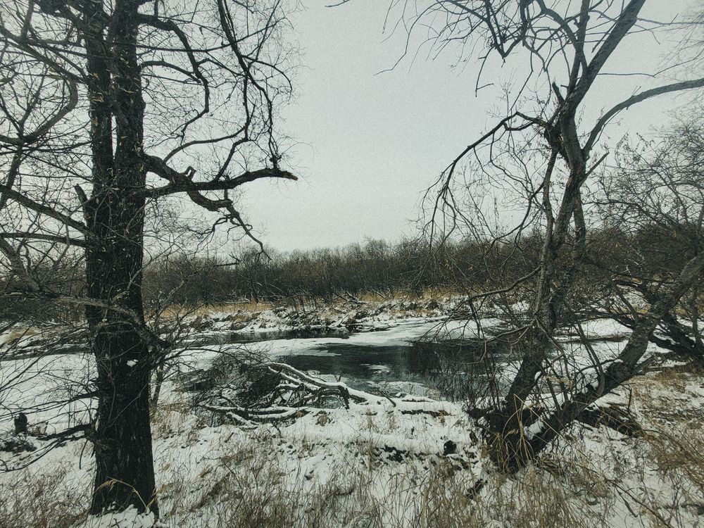 У реки (10)