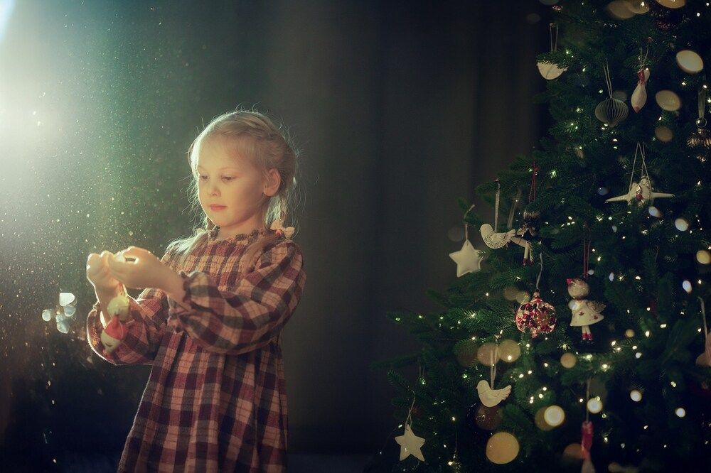 Photo #13388351 (4)