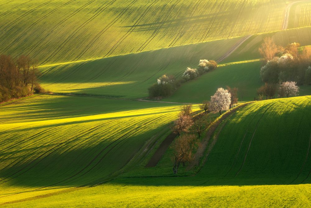 Waves of Fields (3)