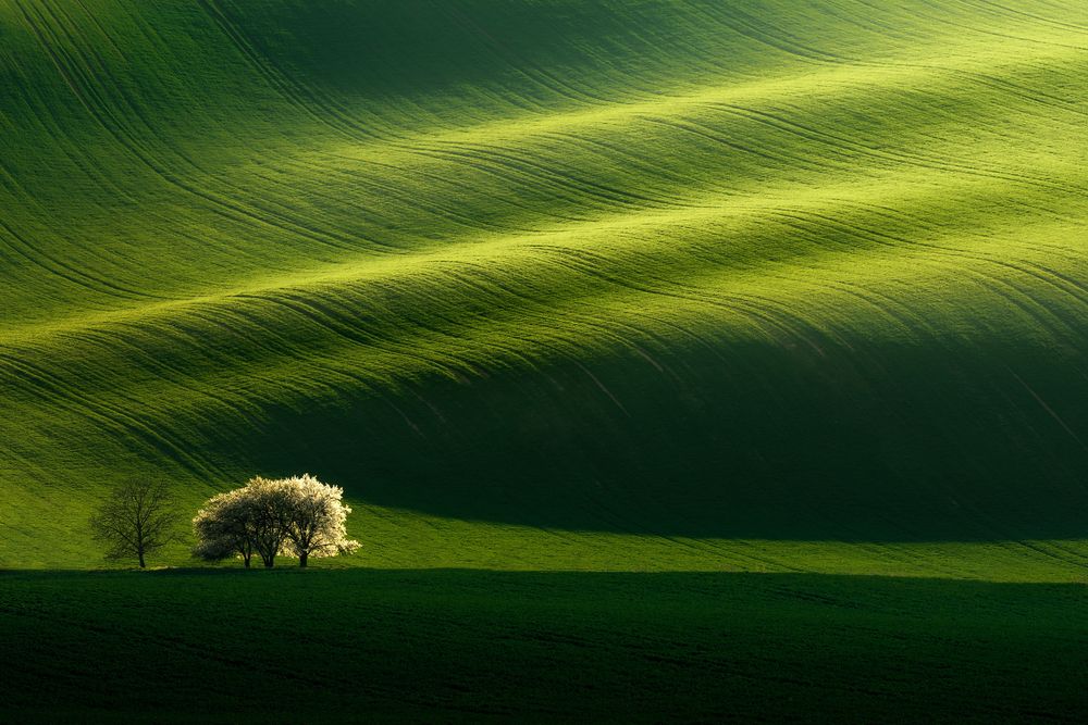 Waves of Fields (4)