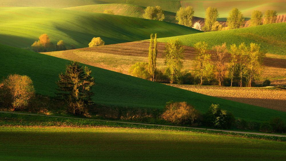 Waves of Fields (5)