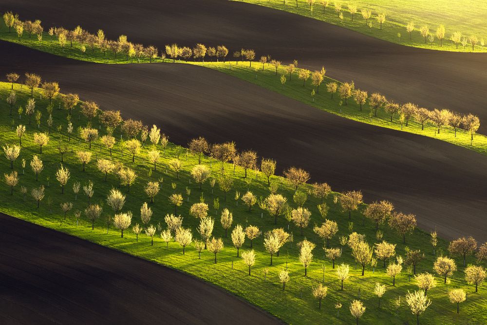 Waves of Fields (10)