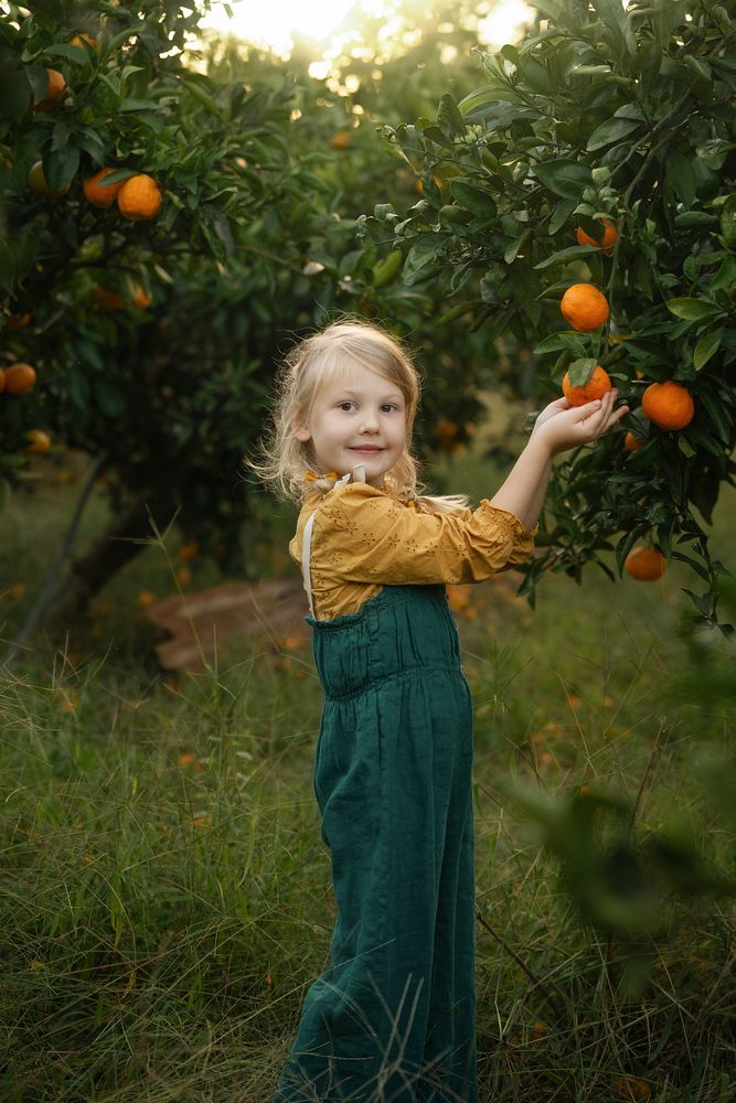 Photo #13388519 (7)
