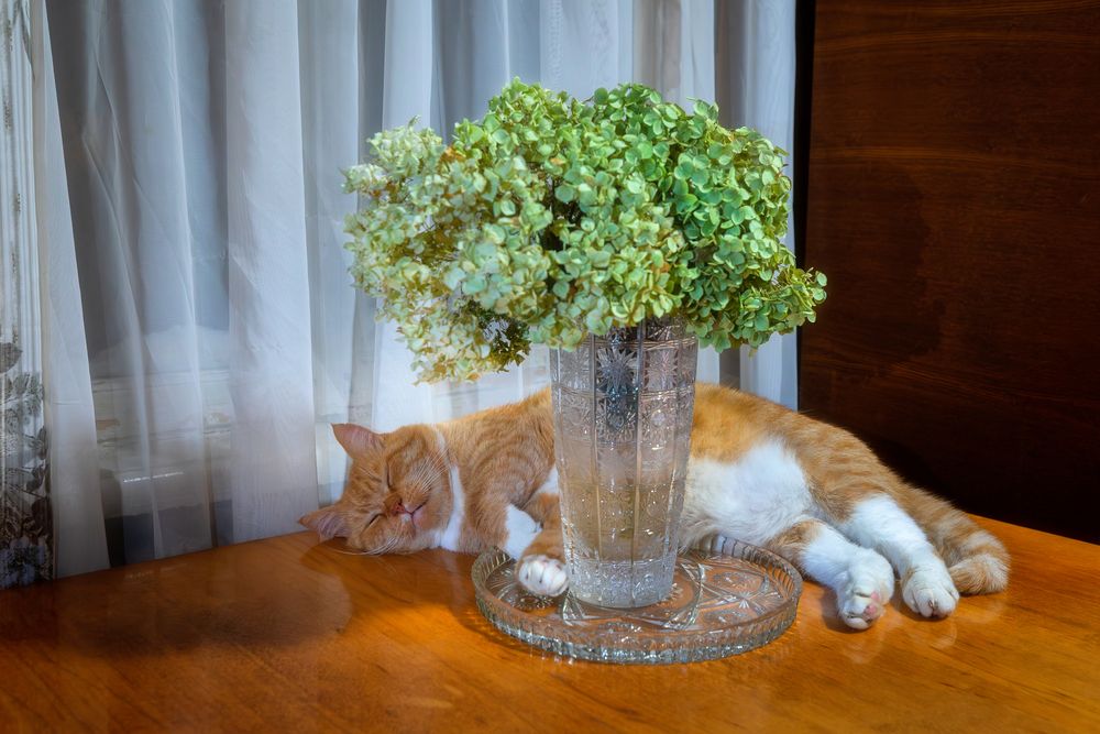 Photo #13389768 (3)