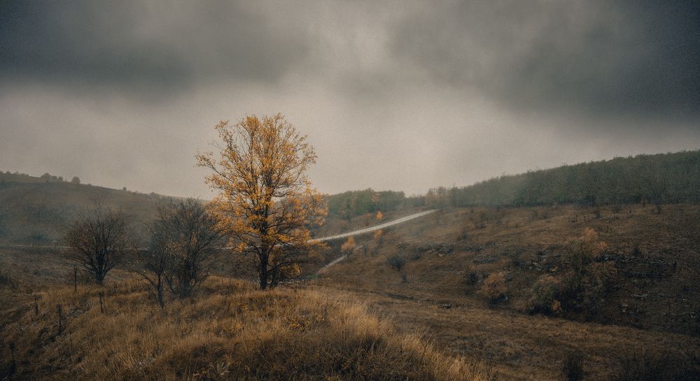 Дождь (2)
