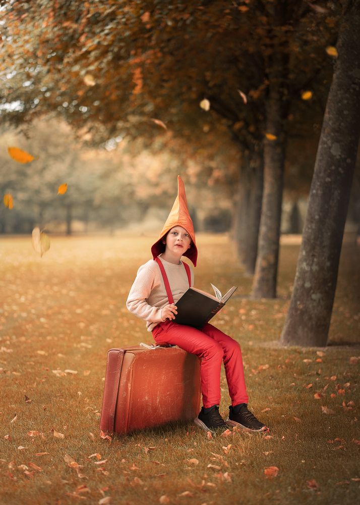 Autumn fairy land (2)