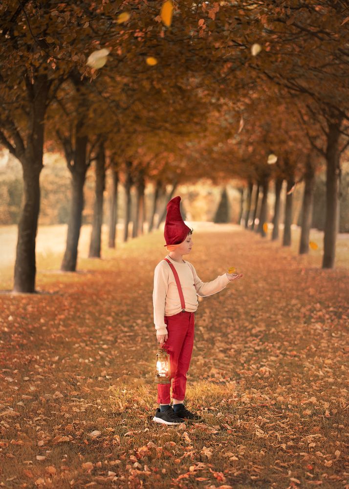 Autumn fairy land (4)