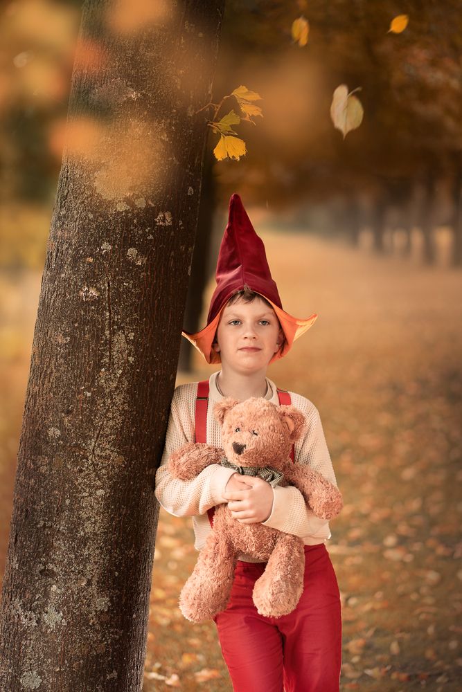 Autumn fairy land (5)