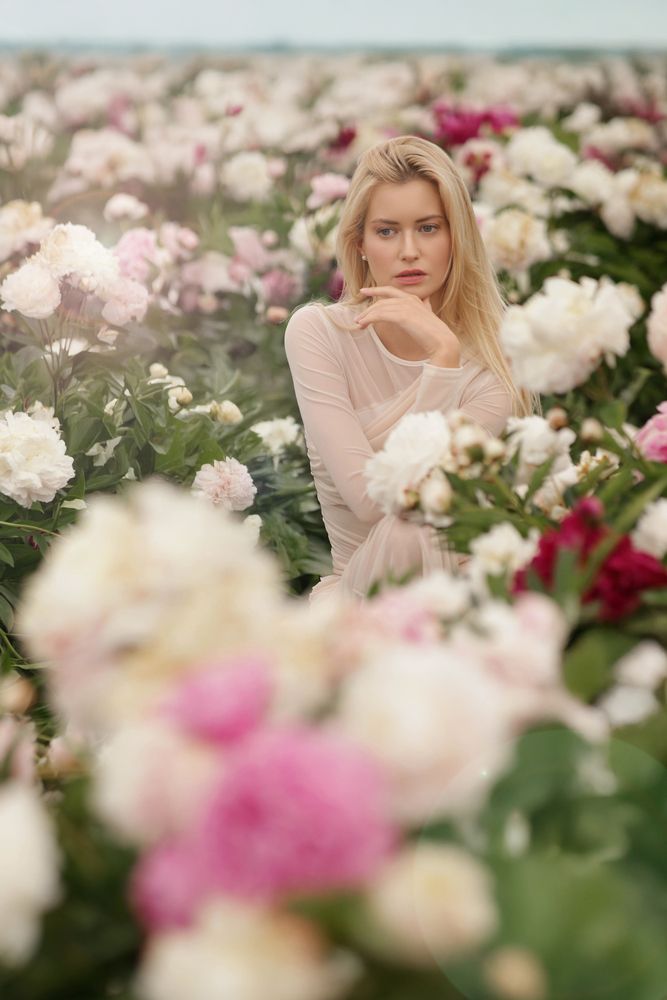 Among the Bloom (2)
