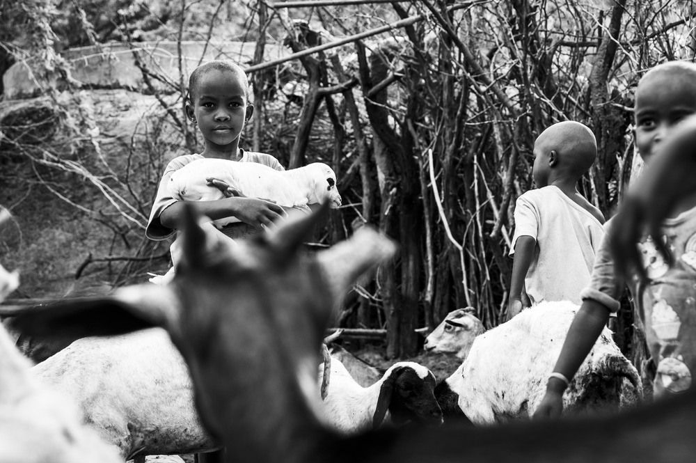 KENYA | Children and their little goats (3)