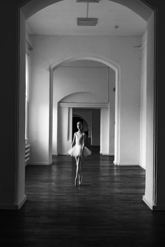Photo #13393450 (3)