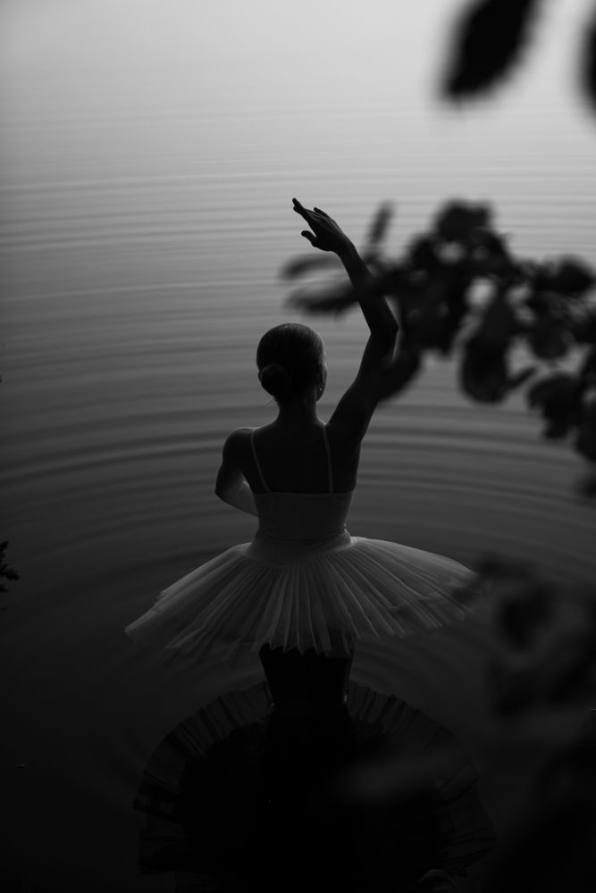 Photo #13393654 (5)