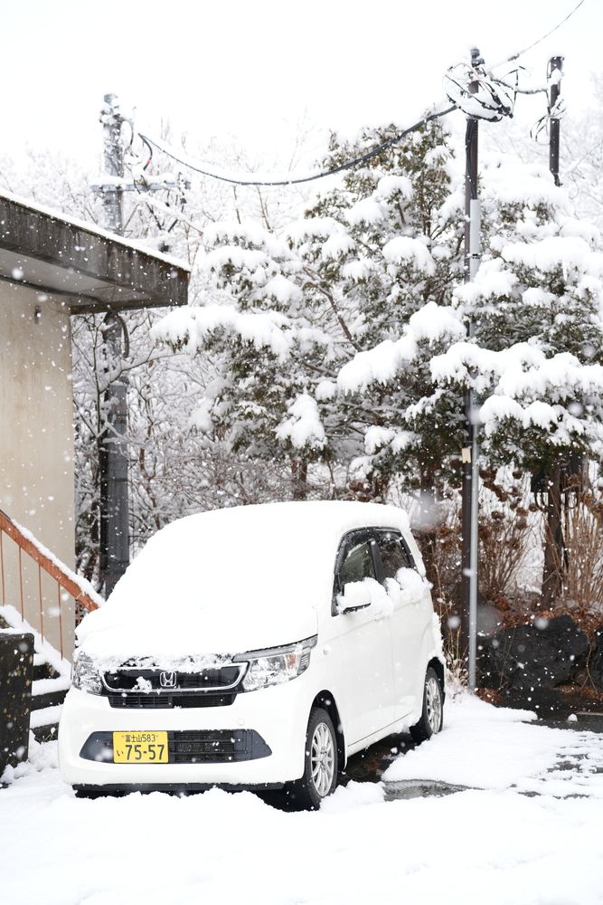 My 1st Snow in Japan 2026 (3)