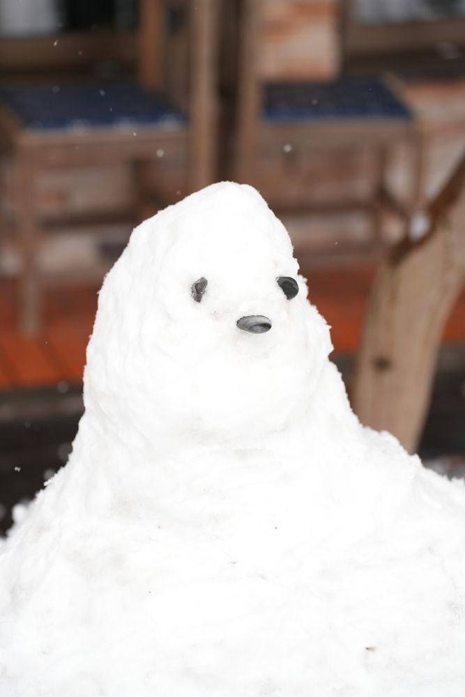 My 1st Snow in Japan 2026 (10)