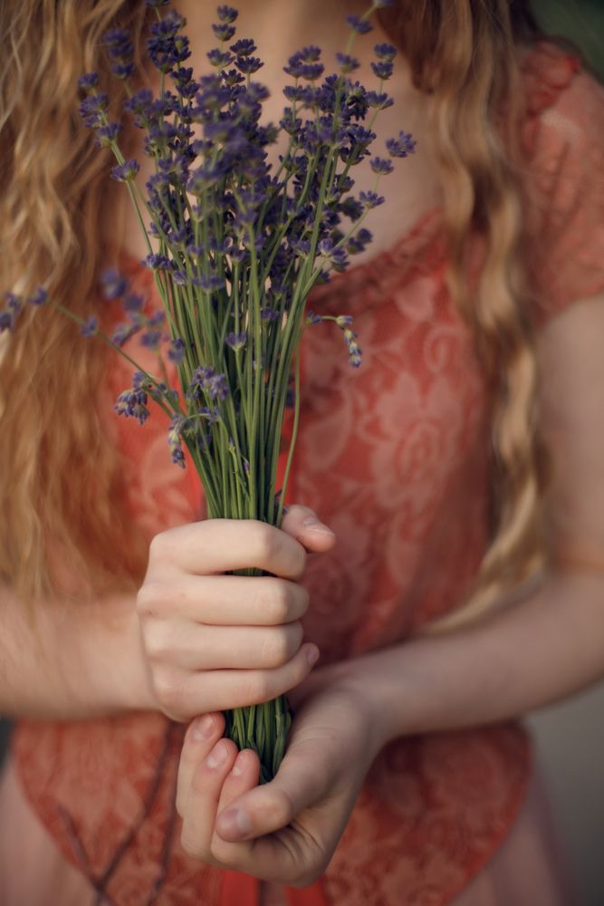 Photo #13395639 (11)