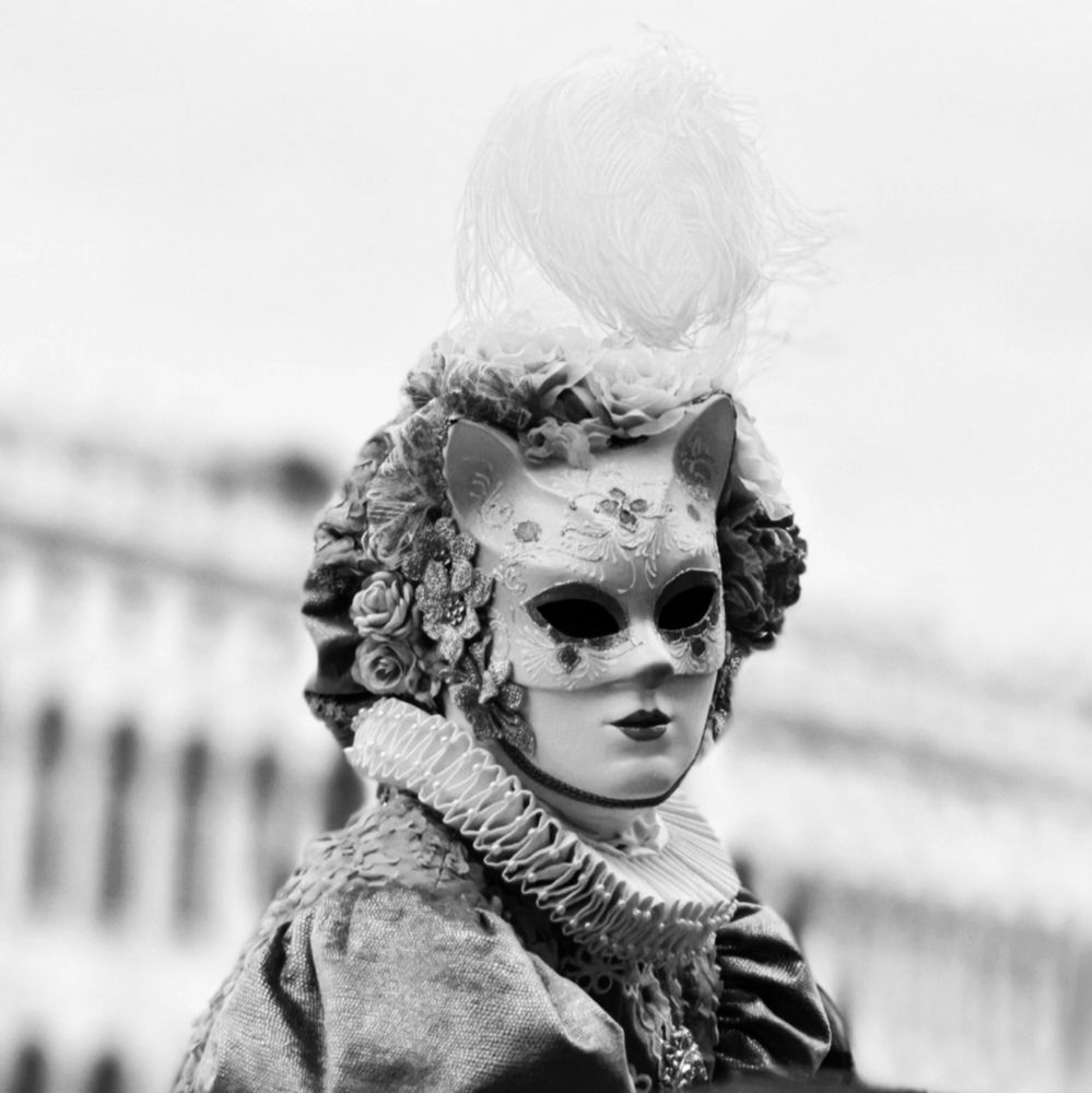 Carnival in Venice (3)