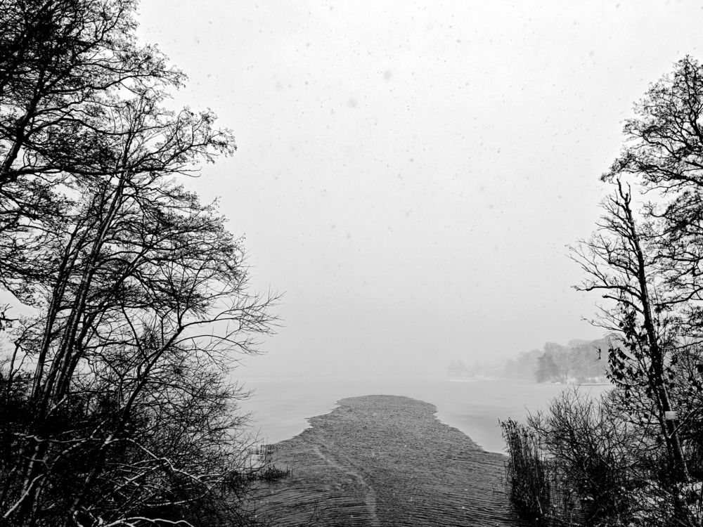Winter Landscape (3)