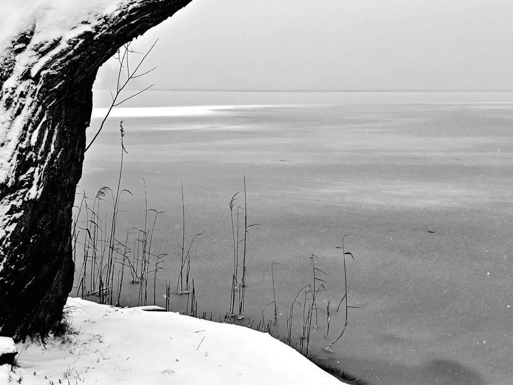 Winter Landscape (5)