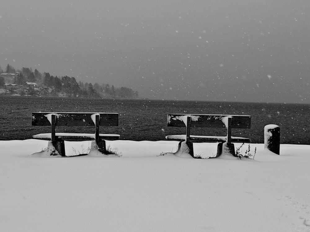 Winter Landscape (7)