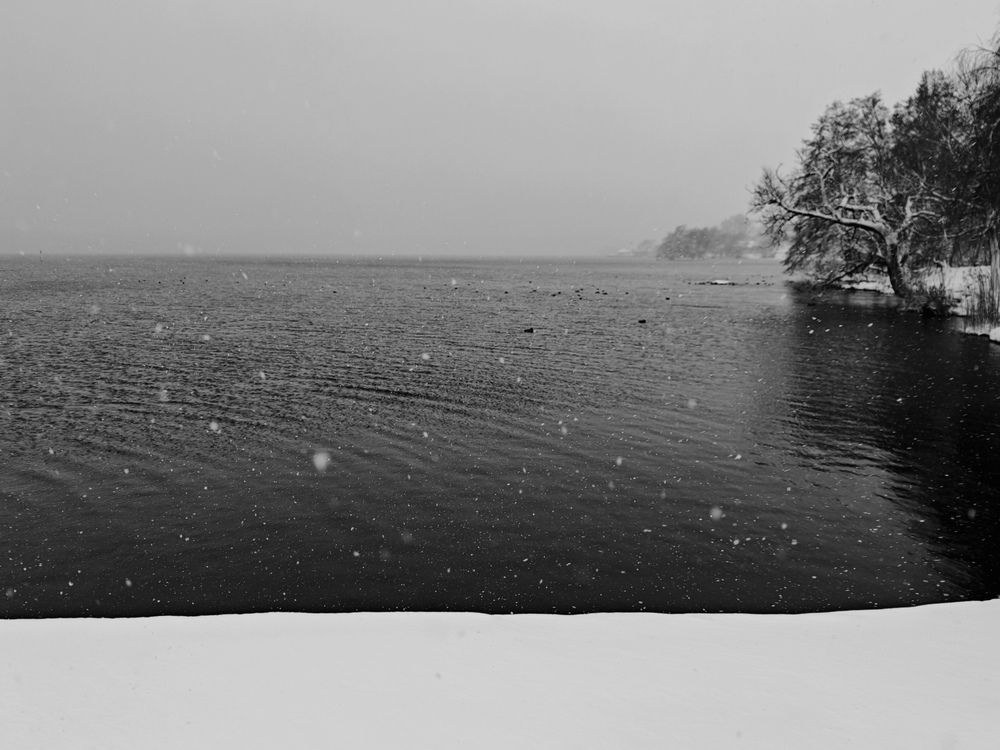 Winter Landscape (8)