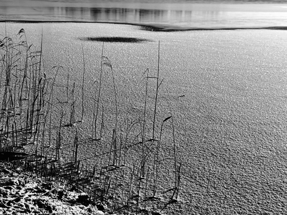 Winter Landscape (10)