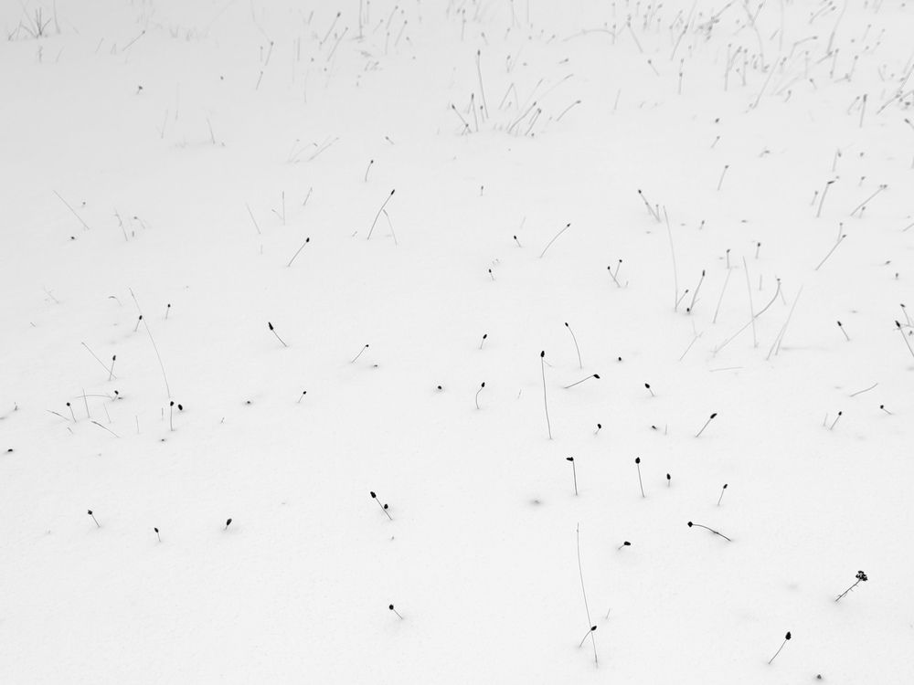 Winter Landscape (11)