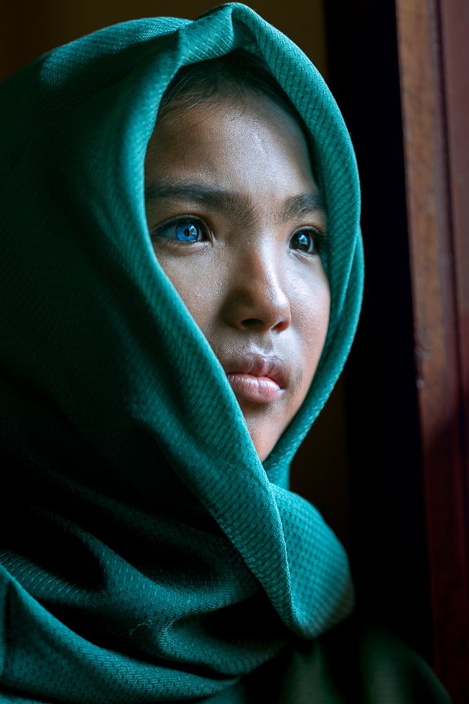 Beauty in the Shadows (4)