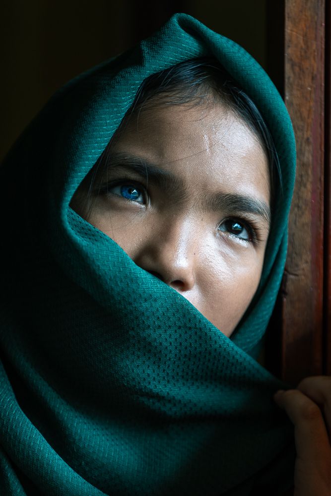 Beauty in the Shadows (3)