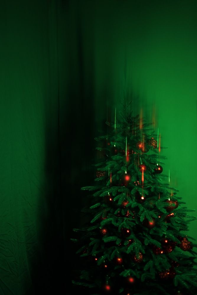 Photo #13405628 (3)