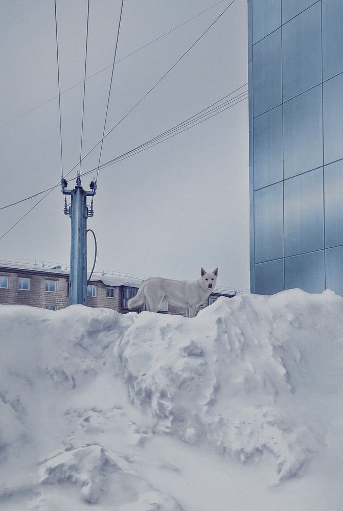 The Far North (3)