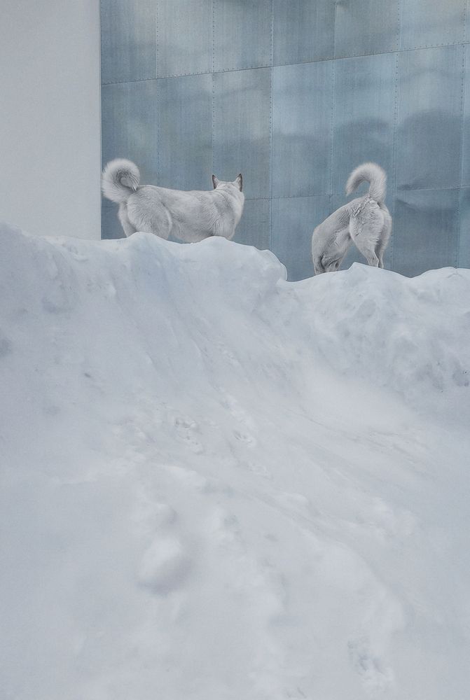 The Far North (4)