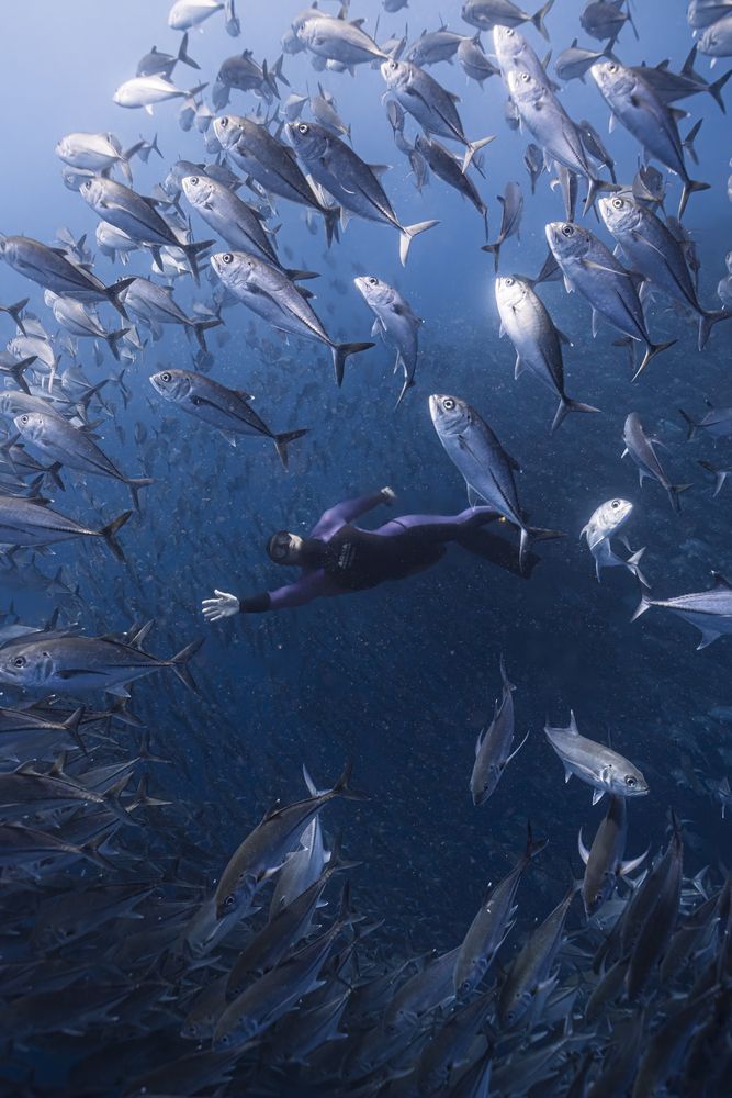 Within the swarm (5)