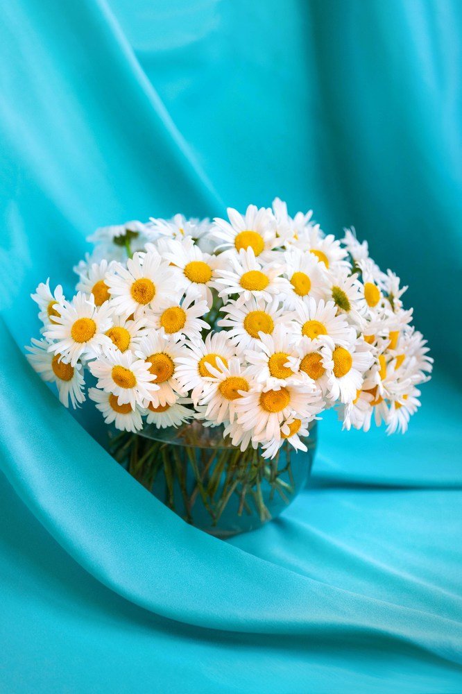 Photograph by Марина Лачинова