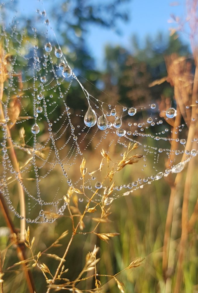 Photograph by Татьяна Козлова