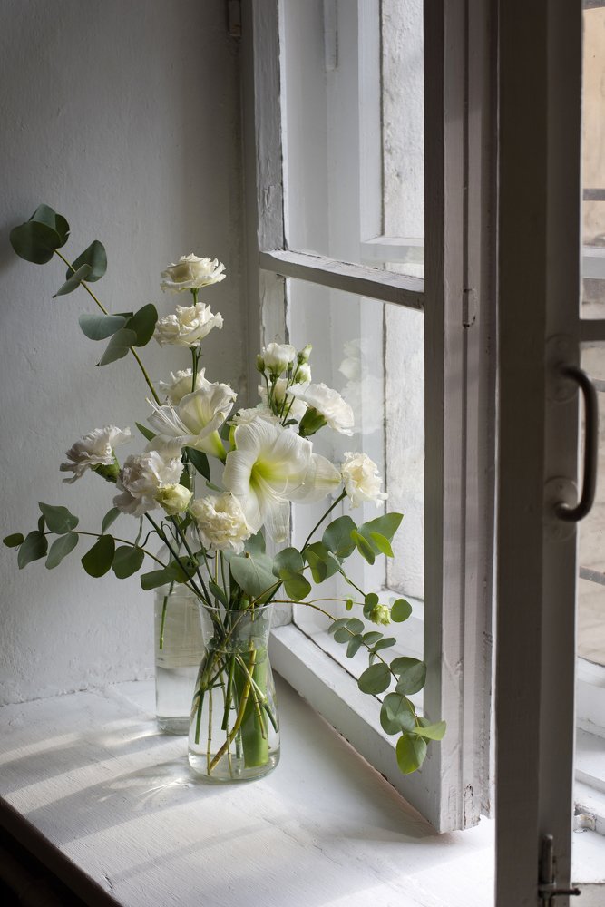 Photograph by Наталья Жук