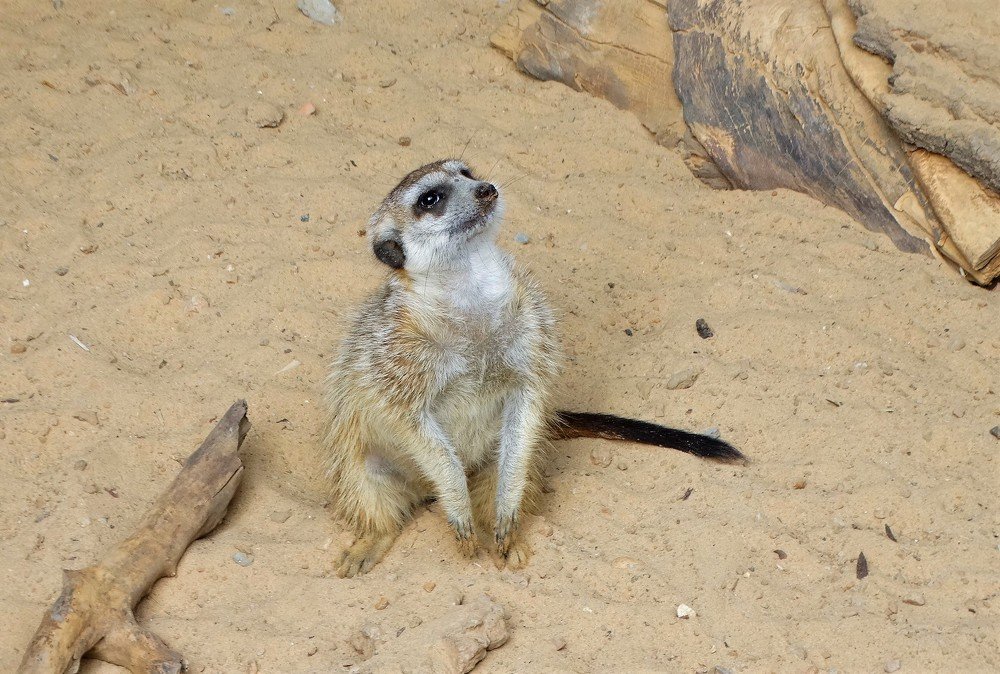 Photograph by Елена Стрельцова