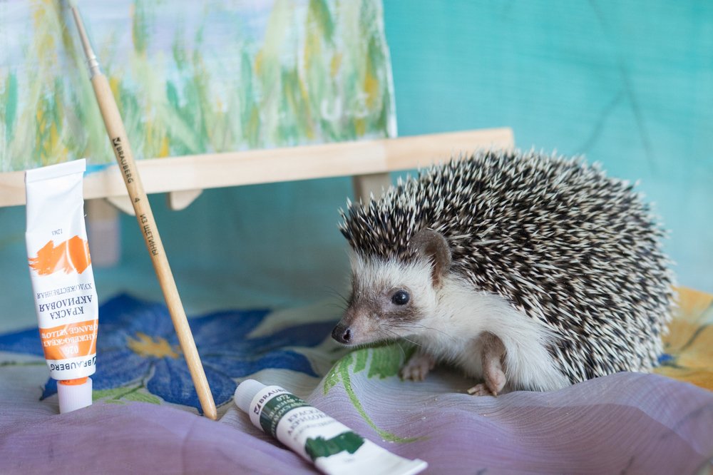 Photograph by Ирина Соболева