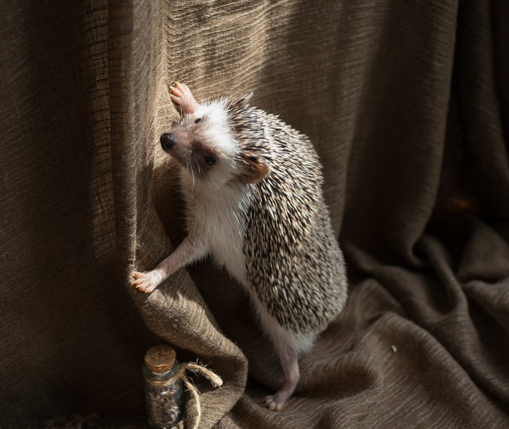 Photograph by Ирина Соболева