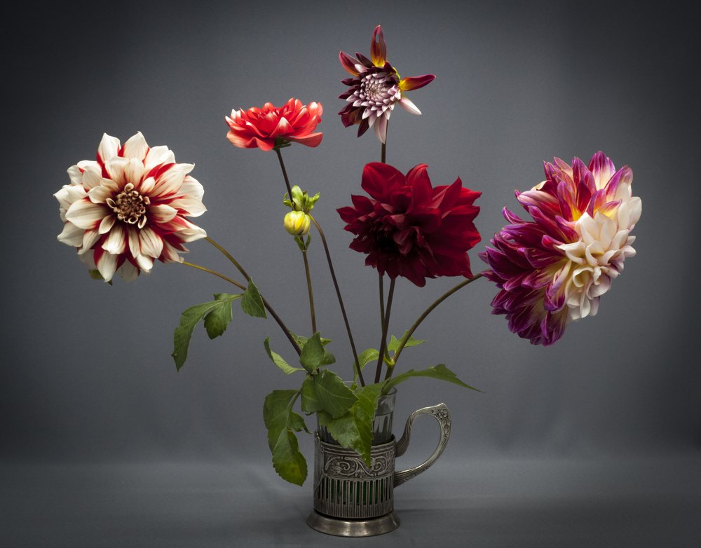 Photograph by коллега