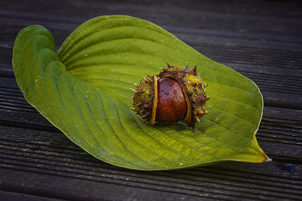 Photograph by Normunds Kaprano