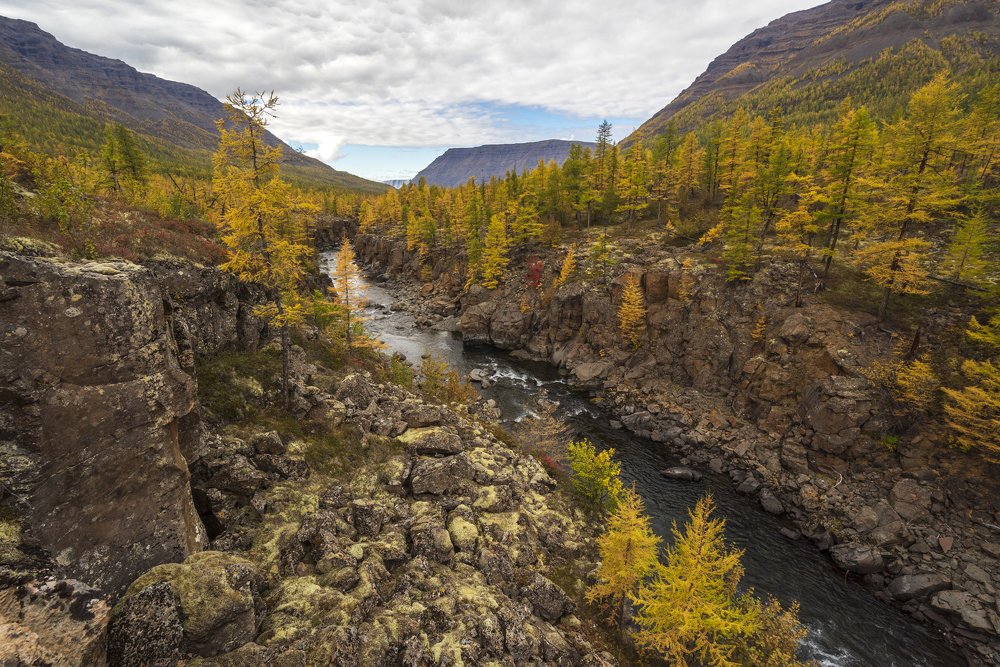 Фотография автора Олег Матроницкий