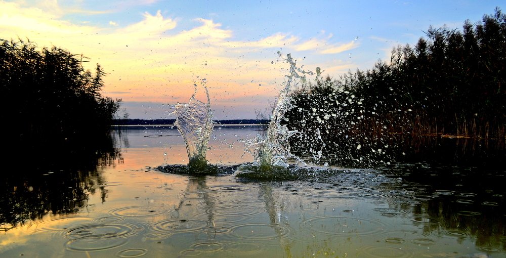 Photograph by Евгений Евдокимов