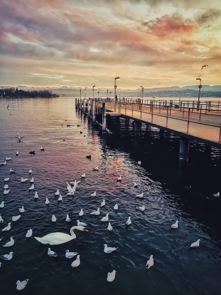 Photograph by Nataliya Sharifova